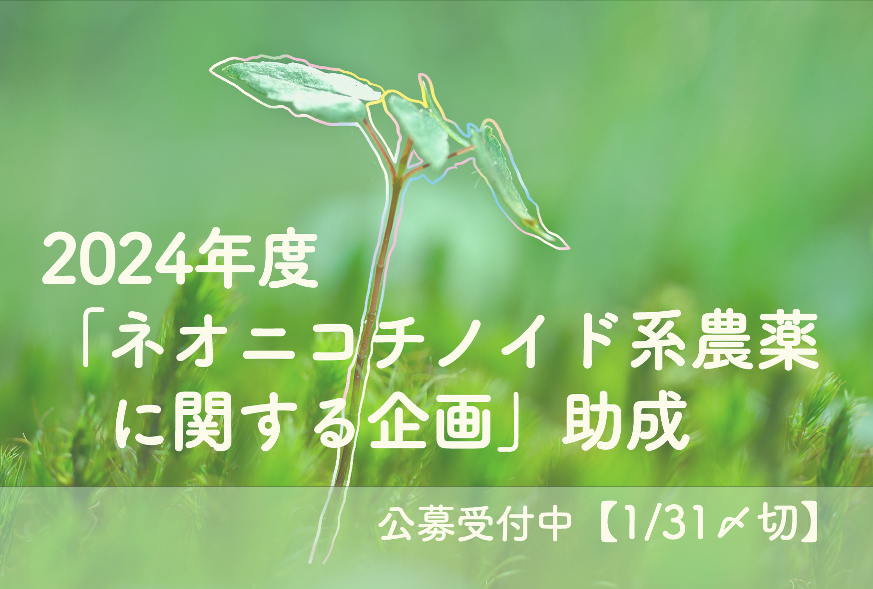 2024年度「ネオニコチノイド系農薬に関する企画」公募中（～1/31） - 一般社団法人アクト・ビヨンド・トラスト